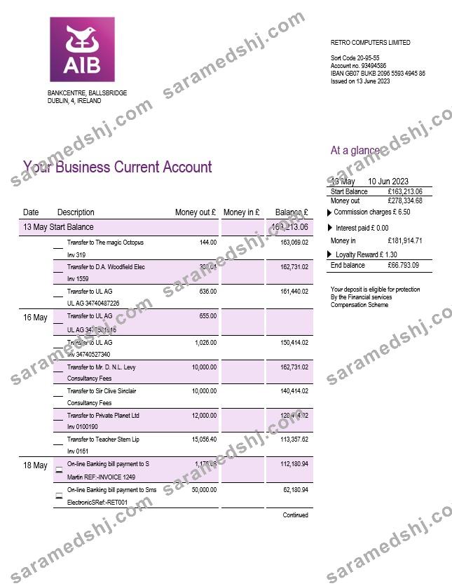 Allied Irish Banks (AIB) enterprise statement Word and PDF template